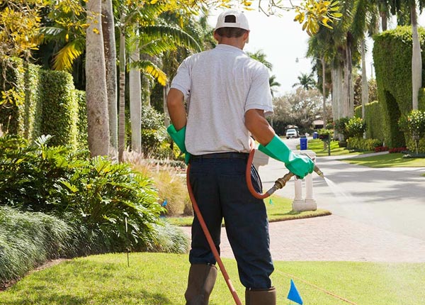 About Winn ME Pest Control Pros